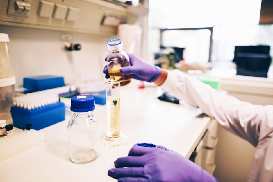 What Chemists Earn Academics Com