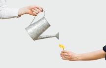 Watering can as a metaphor for researchers' salary in Germany