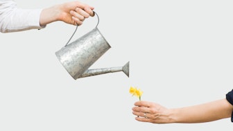 Watering can as a metaphor for researchers' salary in Germany