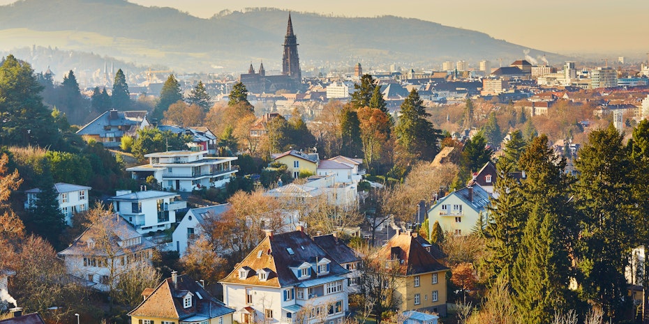 Working in Freiburg - Panoramic View